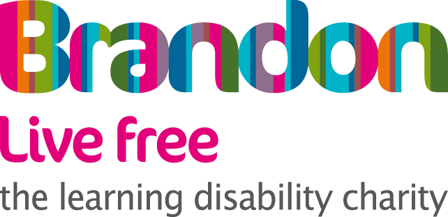 VA client logo